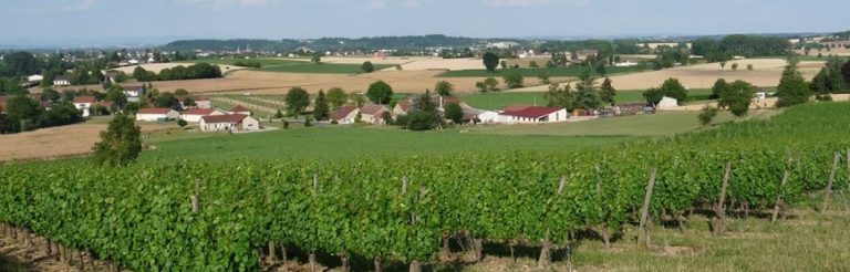 A la découverte des vins de Saint-Pourçain