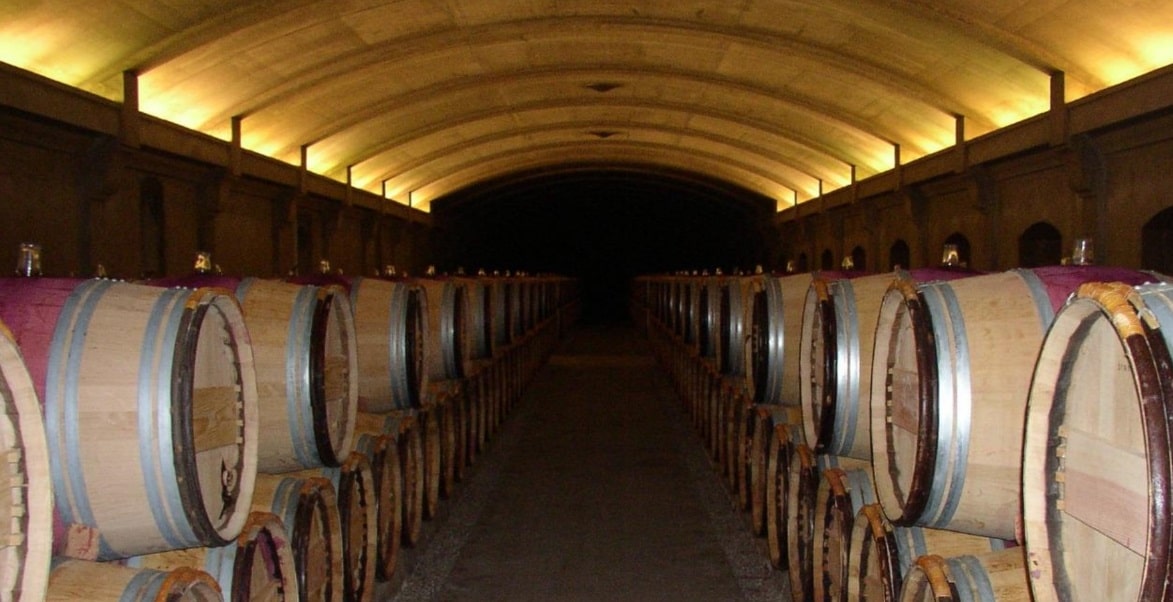 Château Lagrange : vue panoramique des vignes du Château Lagrange à Saint-Julien-Beychevelle
