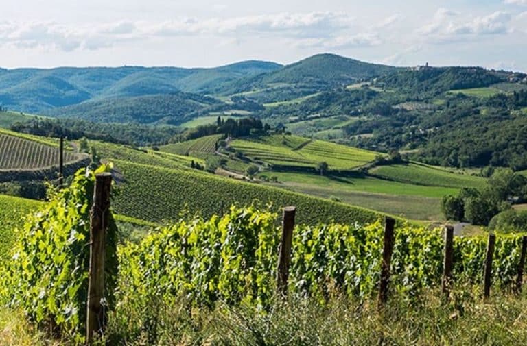 Covid-19 : les viticulteurs italiens se tournent vers la vente en ligne