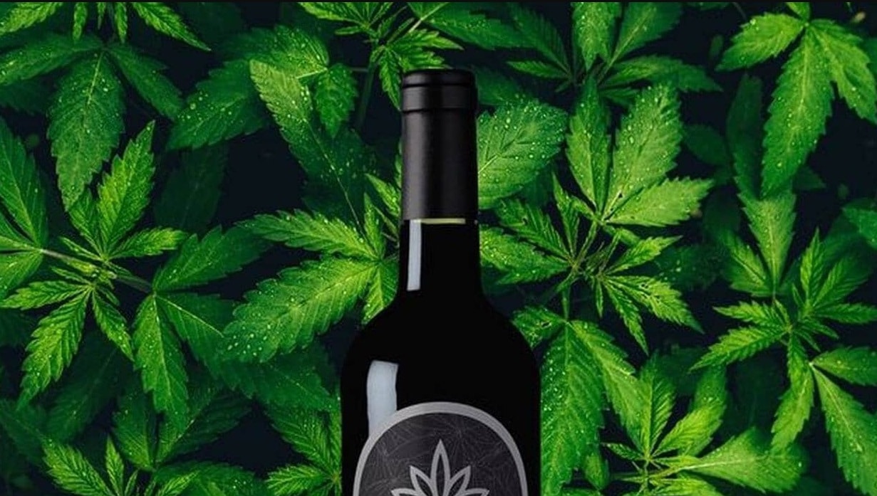 vin au CBD : bouteille de vin infusionnée au cannabidiol