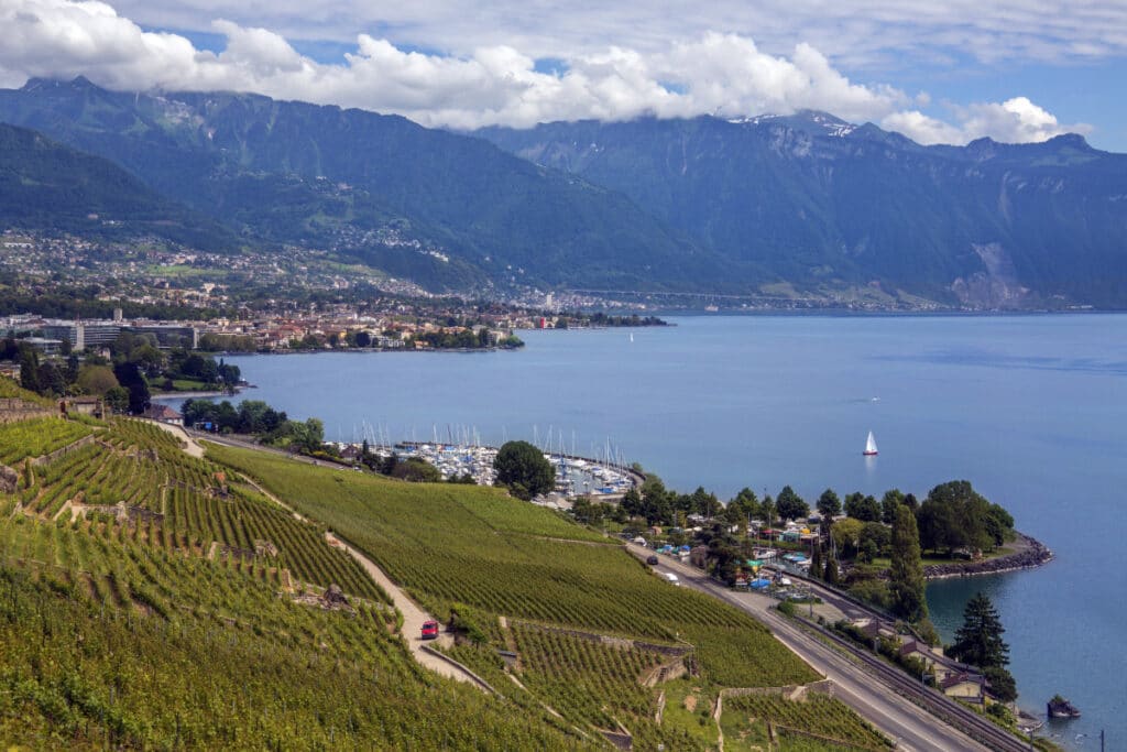 Leukersonne : cave viticole avec des bouteilles de vin et un prix prestigieux